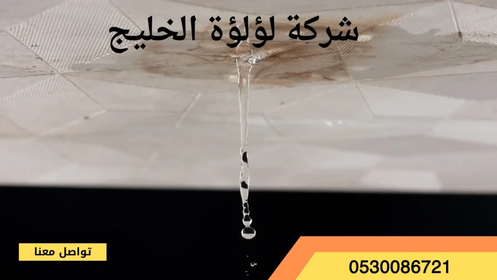 افضل شركة كشف تسربات المياه بالدوادمي
