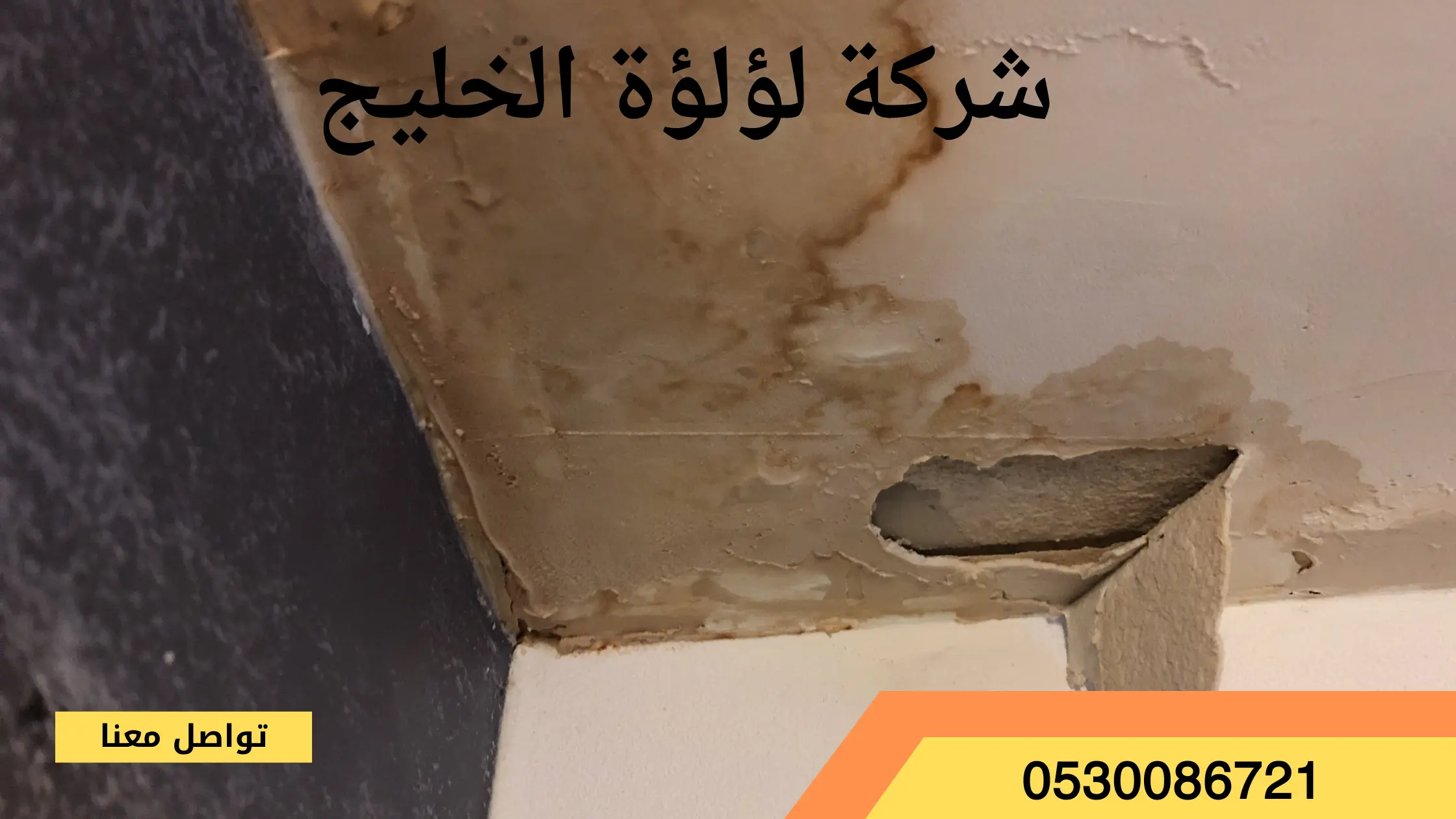 شركة كشف تسربات المياه بالمذنب