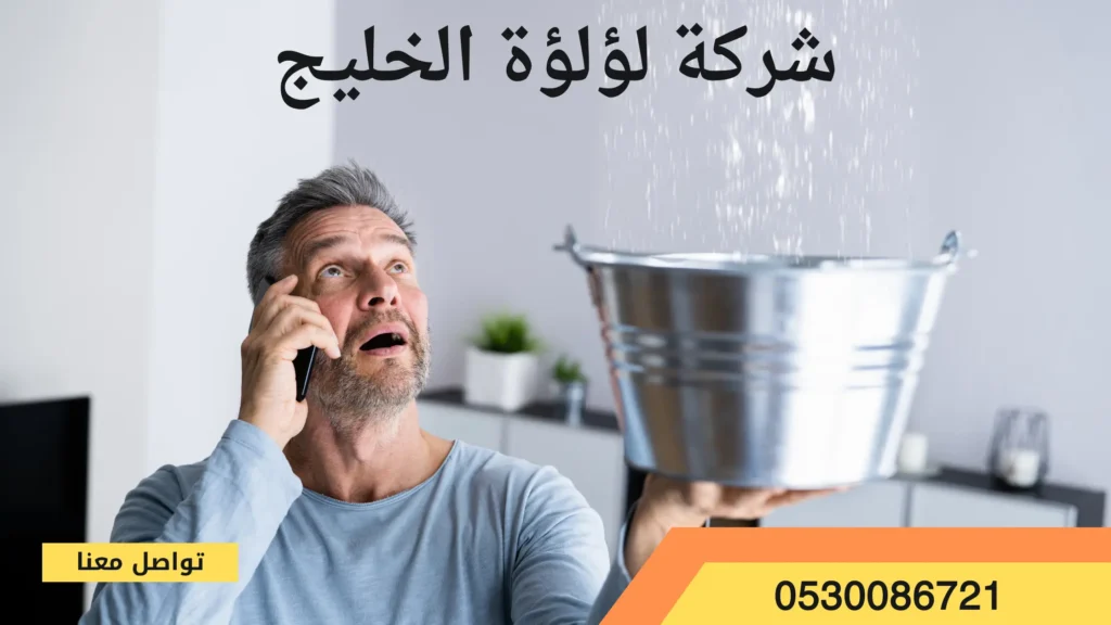 افضل شركة كشف تسربات المياه بالرس