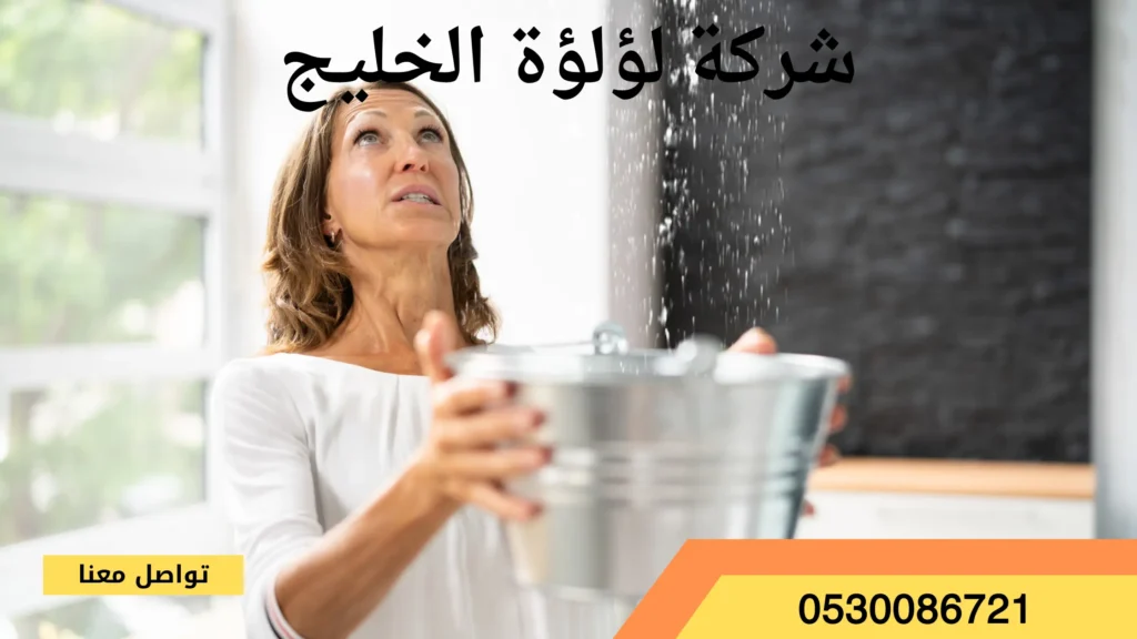 افضل شركة كشف تسربات المياه بساجر