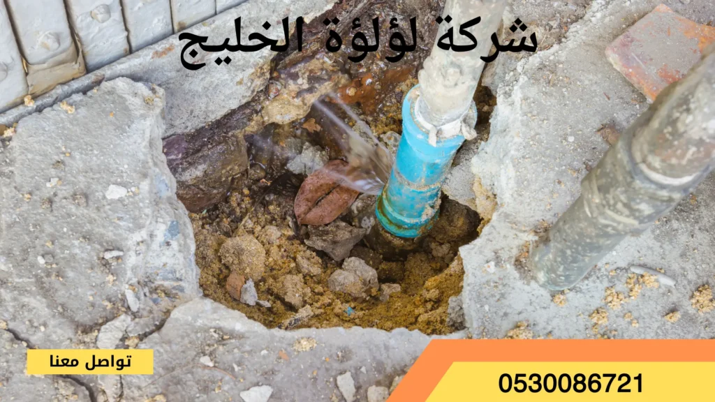 افضل شركة كشف تسربات المياه بعيون الجواء